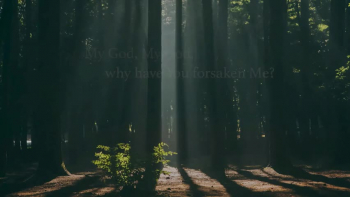 National media called it “a freak accident.” Ethan Roser was studying to be a pastor. The father, a long-term missionary, wrestled with why God allowed it? God had protected his family many times during their long years in Africa. <br />WHY now?!<br />Does God answer?<br />Like in The Shack: When Tragedy Confronts Eternity, God answers Mark and his wife, Pat, in this true account of why an all loving, all powerful God permits tragedy to strike His children.<br />The answer they receive may change your view of God and our world. <br />If you read The Shack, you will want to read Blindsided. <br />All 5-Star reviews by readers on Amazon books.   <br /><br />