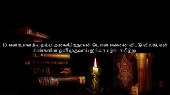 TAMIL BIBLE