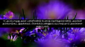 TAMIL BIBLE