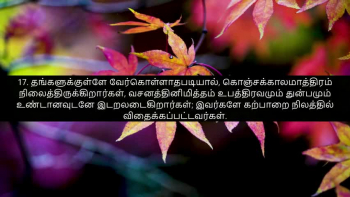TAMIL BIBLE