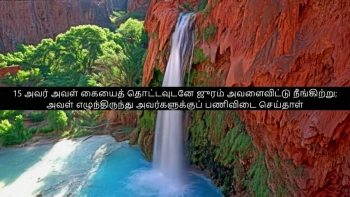 TAMIL BIBLE