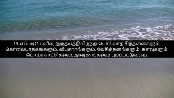 TAMIL BIBLE