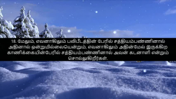 TAMIL BIBLE