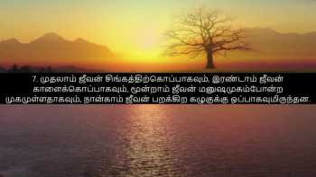 TAMIL BIBLE