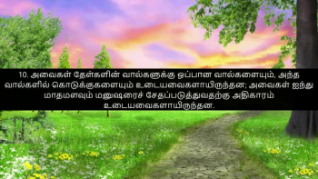 TAMIL BIBLE