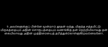 TAMIL BIBLE