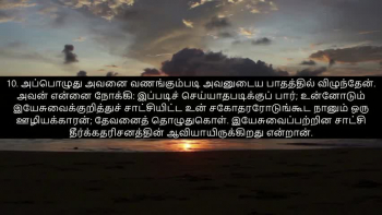 TAMIL BIBLE