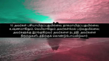 TAMIL BIBLE