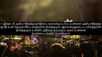 TAMIL BIBLE