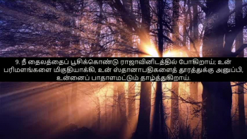 Tamil Bible