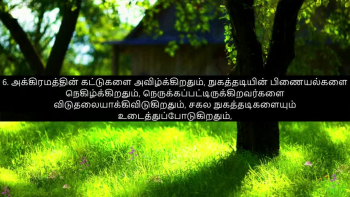 TAMIL BIBLE
