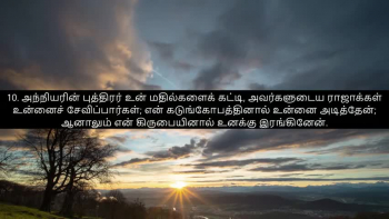 TAMIL BIBLE
