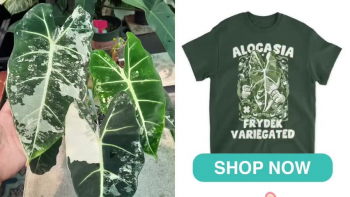 Cool Leaf Shirt 