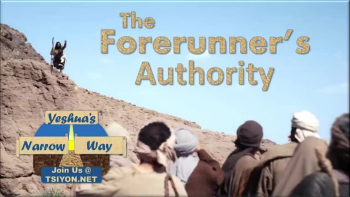 Yeshua's Narrow Way - The Forerunner's Authority - Matthew 3 