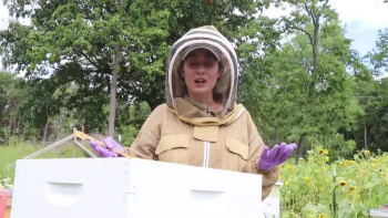 Top 5 Beekeeping Tips For New Beekeeper