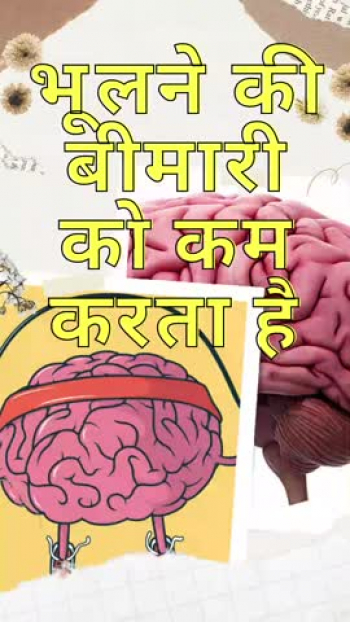 मेमोरी पावर कैसे बढ़ाए
मेमोरी पावर कैसे बढ़ाए
मेमोरी पावर कैसे बढ़ाएं