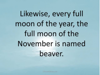 Full Moon November 2023 