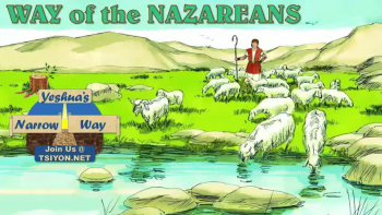 Yeshua's Narrow Way - Way of the Nazareans 