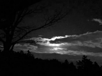 "O Holy Night" Just my cover of this Christmas Classic. Did it my way. I like my Intro better. Recorded by me, myself and some A.I.