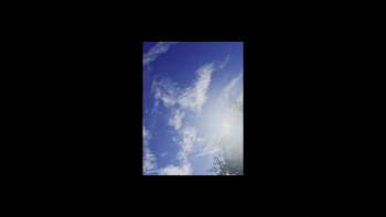 Images of realistic animals that I took in the clouds. God is truly amazing!!