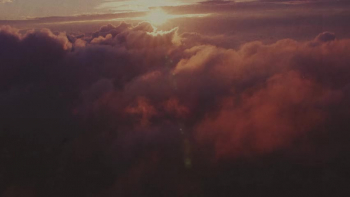 <p>In Anne Wilson&rsquo;s stirring song &lsquo;The Cross,&rsquo; she delivers a message of grace, hope, and redemption. Through her incredible new song, she reminds us of the love Jesus poured out for us on the cross and how it&rsquo;s never too late to begin again.&nbsp;</p>

<p>The opening lines speak directly to the struggle many feel&mdash; heavy burdens that seem too overwhelming to carry. She sings, capturing the doubt that often creeps in during our darkest moments. But Anne lyrics remind us that our God is more powerful than our deepest shame: &ldquo;Just bring it all to the cross.&rdquo; No matter how far we&rsquo;ve strayed, grace is always within reach.</p>

<p>The chorus powerfully declares, &ldquo;Come and see a Savior&rsquo;s love that would die to make you new.&rdquo; Anne&rsquo;s voice is filled with tender love and speaks of the mercy Jesus gives us. She reminds us the cross stands as the ultimate symbol of love, where Jesus paid the greatest price for us. This powerful chorus inspires us to see the love and sacrifice of Jesus in a new light, uplifting our spirits.</p>

<p>As the song unfolds, Anne tackles the lies we often believe&mdash;that we&rsquo;ve wandered too far off or that grace is for someone else. But in her poignant reminder, she sings lyrics delivered with a reassuring tone, offering a lifeline for anyone who feels lost and extending an invitation to come home to the Savior who never turns His back on us.</p>

<p>The final verses of &lsquo;The Cross&rsquo; drive home the sacrifice Jesus made for us all. &ldquo;He was wounded for your wounds, pierced for all your sin.&rdquo; Anne&rsquo;s voice is filled with conviction, calling us to remember that we are worth the ultimate cost&mdash;His life. She reminds us to keep our eyes on Jesus instead of looking at our troubles. This song is a call to run to the cross, where we will find mercy and grace flowing freely for us.&nbsp;</p>

<p><em><strong><a href="https://www.godtube.com/bible/isaiah/53-5">Isaiah 53:5</a></strong>, &ldquo;By His wounds we are healed.&rdquo;&nbsp;</em></p>
