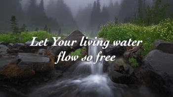 Lyric video of the song 'Let Your Love Flow' from the multiethnic Heart of the City Band CD 'What We Really Need'. Featuring lead vocals by Sara Renner. Vocal fills by Brenda Williams. Words & Music by Dan Adler. (c) 1993, Heart of the City Music. Available to order or download www.danandsandyadler.com or at iTunes or most MP3 sites. Charts and background tracks available at praisecharts.com.