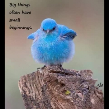 Don't let the little things or even the big things get you down!  You got this!