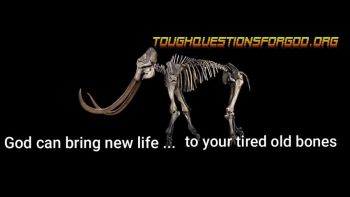 God brings “new life” to those that are willing to accept Him and His will.   What are you waiting for?   #toughquestionsforgod   #dailydevotion   #toughquestionsforgoddailydevotions