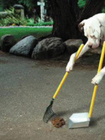 THESE WORDS ARE FROM MY BOOK titled Creating Your Best Life Now and the song SOMETHING BETTER from my CD “JESUS PAID THE PRICE.” Bad things will occasionally happen to us. Just turn on the television, computer, or cell phone and see the next tragedy or hear about the awful things happening in the world. We are mentally and emotionally bombarded with outside influences such as family, friends, the internet, politics, social media, our jobs, the news, and countless other streams of influence. We fill our lives with stress-creating tasks, meetings, commitments, and deadlines. 

Stand guard at the door of your heart, mind, and soul, and don't let anything in that isn't for your highest good. Watch carefully what you allow to enter into your inner self; mentally and emotionally. Your diet is more than the food you eat. It also includes what you watch, listen to, read, and the people you associate with. Take responsibility for what you feed your soul, and don't let the spiritually and emotionally starving people, feed it for you!

AMAZON BOOK LINK: https://amazon.com/dp/B0CTWKYBPG
FACEBOOK.COM/rob.whalley.9
MY YOUTUBE CHANNEL https://www.youtube.com/@robwhalley5386
X.com/BESTLIFENOW369