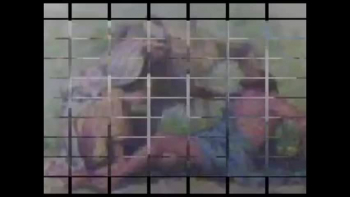 THIS IS A VIDEO I MADE LONG AGO in one of the translations of the bible many prophets and people of GOD claimed to be Aliens what this meant was they came from the garden of EDEN and are searching for a way back lost in this world that is not there's or mine or any persons