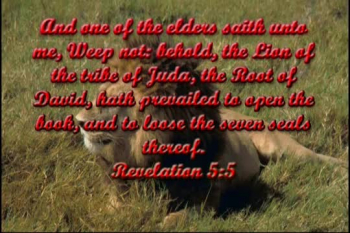 I recorded this video back in 2006, as a tribute to my Dad, five years after he passed away. I played everything myself on my Korg Triton Studio keyboard, except for the lead guitar, which I recorded externally on my Gibson Les Paul. It’s far from perfect, and I know there are plenty of mistakes, but I hope it brings someone a bit of inspiration or comfort today