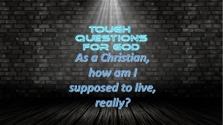 As A Christian, how ae we supposed to live?   Ever ask that of yourself?   #toughquoestionsforgod #proofofgod #godscreation #godscreatures #godscreationwithatwist