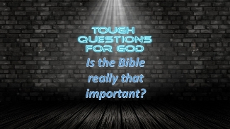 Is the Bible really important, or not?   What’s the big deal?
#toughquestionsforgod #dailydevotion #tqfgdailydevotion
