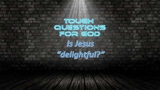 Is Jesus delightful?   Hmmm, what do you mean, and why does that matter?
#toughquestionsforgod #dailydevotion #tqfgdailydevotion
