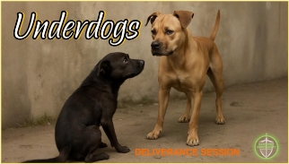 Deliverance and Healing