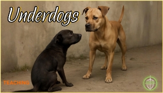 God uses the bottom of the barrel