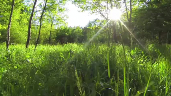 Follow LeBakerMusic:
Join our blog - https://lebakermusic.com/blog
Buy this song at - https://lebakermusic.com/  

Video Producer: Zoey Baker (Zoey The White Lioness)
https://zoeythewhitelioness.com/ 

Story Behind Song: https://lebakermusic.com/ride-story-b...


LYRICS

Verse 1
Trapped inside
Nature is calling
Telling me ride away
Find freedom
In the miles along the way
I can’t wait
Feel the wind on my face

Pre-Chorus
It’s time to ride, ride

Chorus 1
Come on let’s ride, ride
So we can fly, fly
And soar so high
It’s time to ride
Ride, ride

Verse 2
Birds sing out to me
The work of your hands
Leaves dance in the trees
Nature’s awake
I forget to worry
Sunrise’s a blaze
Over fields of green

Pre-Chorus
It’s time to ride, ride

Bridge
Down the hill
Grabbing life
By the handlebars

Chorus 3
Oh-ho ride, ride
Come on let’s ride, ride
So we can fly, fly
And soar so high, high
It’s time to ride (on wings of eagles)
Yea, yea, yeah

End Tag
Ride, Ride
Come on and ride, ride
It’s time to ride
So we can fly

(Ride, Ride)
(Ride, Ride) Come on!
(Ride, Ride)
(Ride, Ride)