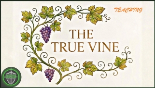The True Vine. Spiritual Fruit