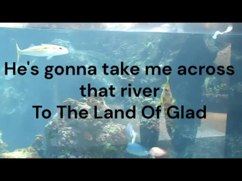Lyric Video for The Land of Glad by Morgan Rhoads