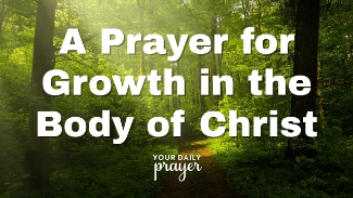 The Church is more than a building—it’s the living, breathing Body of Christ. In this heartfelt prayer and devotional moment, we invite the Holy Spirit to stir spiritual growth, deeper unity, and active love within the global and local church.

As believers, we are called not just to attend—but to build one another up, serve in our God-given roles, and reflect the beauty of Christ to the world. Whether you’re a pastor, small group member, worship leader, or simply seeking community, this prayer offers a renewed vision for how we can grow together in faith.