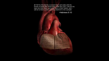 I was born a sinner
I was living in sin
Living my wicked ways
Until HE let me in

Good vibrations
I'm under his spell
Pulling me 'twards the light
freeing me from hell

(bridge)
 I feel like a new man.
 I've got a new plan.
 No sin remaineth.
 I've been redeemed by his death!

(chorus)
I've been blessed, I am reborn!
No more pain, not feeling torn!
Joy has filled my heart at last!
All my sins left in the past!

It's a new beginning
And a brand new man
And I can't stop singing
I'll praise him all I can

Commandment keeper
until the day I die
and that's the truth Straitway
the Ugly Truth don't lie!

(bridge)
I feel like a new man.
I've got a new plan.
No sin remaineth.
I've been redeemed by his death.

(chorus)
I've been blessed, I am reborn!
No more pain, not feeling torn!
Joy has filled my heart at last!
All my sins left in the past!