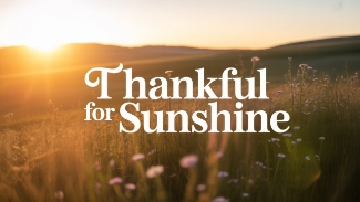 As the sun rises high and summer blankets the world in warmth and color, we pause to offer a simple but powerful prayer of gratitude. 🌞

This short devotional prayer is a moment to thank God for the joy of sunny days—moments filled with light, laughter, nature’s beauty, and opportunities to slow down and reflect. Whether you’re on vacation, walking in your neighborhood, or simply soaking in some rays through the window, this prayer reminds us that even the sunshine is a gift from above.

☀️ “This is the day the Lord has made; let us rejoice and be glad in it.” — Psalm 118:24
🌼 “The heavens declare the glory of God; the skies proclaim the work of His hands.” — Psalm 19:1

🙏 Prayer:
Heavenly Father,
Thank You for warm, sunny days that bring joy to our hearts and rest to our souls.
Thank You for the light that lifts our spirits, the beauty of Your creation, and the slow, sacred moments that allow us to be present.
We praise You for the laughter of summer gatherings, the smell of blooming flowers, the songs of birds, and the peaceful rhythm of longer days.
May we not take these blessings for granted.
Help us use this season to draw near to You, breathe deeply, and reflect on Your goodness.
In every ray of sun, may we be reminded of Your faithfulness.
In Jesus’ name, Amen.