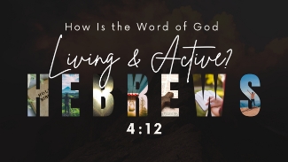 Bible Verse of the Day: &quot;For the Word of God is living and active, sharper than any two-edged sword, piercing to the division of soul and of spirit, of joints and of marrow, and discerning the thoughts and intentions of the heart.&quot; &ndash; Hebrews 4:12 How Is the Word of God Living and Active? (Hebrews 4:12) Hebrews 4:12 reminds us that Scripture is not just ink on a page but a living, active force in the lives of believers. Unlike human words or philosophies, God&rsquo;s Word is constantly at work&mdash;penetrating, discerning, and transforming us. The imagery of a &ldquo;two-edged sword&rdquo; underscores Scripture&rsquo;s precision. It cuts deep, revealing hidden motivations and exposing the true state of our hearts. Nothing is beyond its reach&mdash;not our thoughts, not our intentions, not even the parts of us we try to keep hidden. This verse also carries both comfort and challenge. Comfort, because God&rsquo;s Word brings life, direction, and encouragement. Challenge, because it confronts us with truth, reminding us that nothing is hidden from God&rsquo;s gaze. The call is clear: approach His Word with humility, letting it shape us into people who live in step with His will. Daily Meditation God&rsquo;s Word is alive, speaking across all times and cultures. It penetrates beyond outward behavior, reaching our deepest thoughts and motives. Scripture is an instrument of both encouragement and correction. Through the Word, we encounter God&rsquo;s presence and align with His purposes. Let&rsquo;s Pray Father, I come to You honestly&mdash;sometimes my heart feels distant, and my excitement for Your Word fades beneath the weight of life&rsquo;s distractions. But I know Your Word is living and powerful, and I long for that closeness again. Please rekindle a deep passion within me to seek You through Scripture. Open my eyes to see the beauty, truth, and life in every page. Stir my spirit with fresh hunger to know You more and to treasure Your voice above all else. Lord, forgive me for the times I&rsquo;ve treated Your Word casually or out of routine. Help me approach it with awe and expectation, knowing that You are ready to speak each time I open my Bible. Let my heart burn with joy and wonder as I encounter You in new ways. Teach me to delight in Your truth and to let it transform me daily. In Jesus&rsquo; name, Amen. About Joe - Joe Navarro, known online as @joechristianguy, is a Christian content creator, entrepreneur, and cultural voice passionate about making faith approachable and impactful for the next generation. With over 4.5 million combined followers across TikTok, Instagram, and YouTube, Joe delivers bold, Gospel-centered truth through a mix of daily encouragement, short-form teachings, comedic skits, and authentic life experiences. His unique blend of theology, humor, and clarity has created space for millions of young believers and skeptics alike to engage with Scripture and real conversations about following Jesus in a digital world. In 2023, he co-created the popular card game Discernment alongside Jacob and Julia Petersen, which is now available in major retailers like Amazon, Walmart, Museum of the Bible, and Mardel. He also holds a degree in Agricultural Economics with a minor in Sales from Texas A&amp;M. Sign Up for Joe&#39;s Newsletter here! https://joechristianguy.com/ Discover more Christian podcasts at lifeaudio.com and inquire about advertising opportunities at lifeaudio.com/contact-us.
