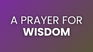 Every day brings choices — some small, some life-altering. In today's prayer and devotional, we remember that whether it’s navigating relationships, parenting, work, or personal growth, our need for God’s wisdom is constant. Wisdom is more than human intelligence or cleverness. It is discernment rooted in God’s will, applied through a humble heart that acknowledges His way is always better.

Amanda Idleman reminds us that our natural instinct is to react emotionally or cling to control. But God’s wisdom invites us to pause, pray, and listen. His way looks beyond the moment and steers us toward goodness, mercy, and Spirit-led living. Seeking wisdom requires intentional rhythms — morning prayers, moments of worship, pauses in the middle of our busyness — that anchor us in His guidance.

God promises that wisdom is His gift to those who ask (James 1:5). As we cultivate hearts that surrender and listen, we learn to discern His gentle nudges, recognize His peace, and walk confidently in His direction.