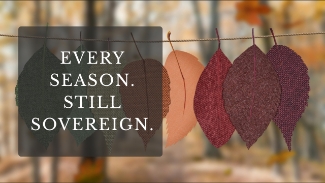 From joy to sorrow, growth to waiting - He is faithful in every season we face.