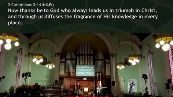 No Defeat in the Path of the Cross