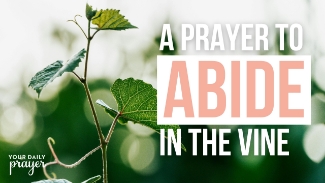 Are you struggling with anxiety, depression, or emotional burnout? This daily prayer and devotional reminds you that you're not alone—and that your suffering does not separate you from God’s love.

In this encouraging message, author Emily Rose Massey shares powerful truth from John 15:4–5 about abiding in Christ during life’s hardest seasons. Just as a branch can’t bear fruit without staying connected to the vine, we too need to remain in Jesus to find strength, peace, and hope.

When anxiety and depression hit, it’s easy to feel disconnected from your faith. But God invites you to remain—abide—in Him. In your brokenness, He is still your source of life.

📖 Today’s Scripture Reading:

“Abide in me, and I in you... apart from me you can do nothing.” – John 15:4–5 (ESV)

Abiding in Jesus anchors your soul when anxiety or depression overwhelms.

Spiritual growth often happens underground—in hidden, hard seasons.

Prayer and God’s Word are lifelines to peace and renewal.

You’re not defined by your struggle—you are held and strengthened by Christ. 

