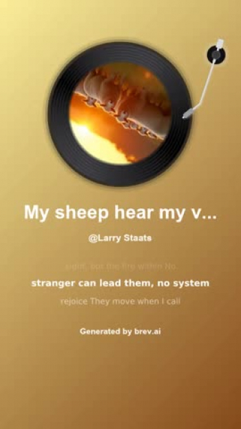 My sheep hear my voice 