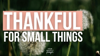 In a world that celebrates big achievements, it’s easy to overlook the quiet, everyday moments that matter deeply to God. But as Britt Mooney reminds us in our evening prayer and devotional, small things matter.

Jesus often pointed to the overlooked and the ordinary to reveal the extraordinary heart of God. A widow’s two small coins became an offering greater than gold. A young boy’s simple lunch fed thousands. And a shepherd boy with a slingshot became a king. Over and over, Scripture shows that God delights in taking what seems small and using it for His glory.

The world measures value in size and visibility—but God measures by faithfulness. Each kind word, every act of service, every unseen prayer becomes a thread in the tapestry of eternity. Whether it’s the way we speak to our children, care for a neighbor, or pause to thank God for the smallest blessings, these moments reflect the kingdom of Heaven at work in us.

Even the tiniest gestures—a smile, a prayer, a word of encouragement—carry eternal weight when done in love. The small things are not insignificant to God; they are sacred opportunities to display His heart.

So tonight, take inventory of your “small things.” The ones you might dismiss or forget. They matter—to God, to others, and to eternity.

Tonight’s Scripture: Luke 16:10 (NIV)

“Whoever can be trusted with very little can also be trusted with much.”
🔗 Read more on BibleStudyTools.com

🙏 Your Nightly Prayer

Heavenly Father,
Thank You for reminding me that small things matter to You. Help me not to overlook the quiet moments or dismiss what seems insignificant. Teach me to be faithful with the little, trusting that You can multiply it into much. May every small act of love, kindness, or service I offer today be an offering of worship to You. Let my gratitude grow in the ordinary moments, knowing that nothing done for You is ever wasted.
In Jesus’ name,
Amen.

🧘 Three Things to Meditate Upon

Start Small, Think Eternal:
What small thing has God entrusted to you today? A relationship, task, or opportunity? How can you steward it with eternal perspective?

Reframing the Ordinary:
What daily routines feel insignificant or frustrating? Ask God to show you how even these moments can reflect His grace.

God’s Multiplication:
Reflect on a time when God took something small in your life—a prayer, a conversation, an idea—and used it for something far greater than you imagined.

📣 Calls to Action

🌿 Pause tonight to thank God for three small blessings from your day. Speak them aloud in gratitude.

💬 Share this devotion with a friend who feels unseen or unimportant—remind them that God treasures their faithfulness in the little things.

📬 Sign up for Your Nightly Prayer to receive nightly encouragement and Scripture reflections delivered straight to your inbox.