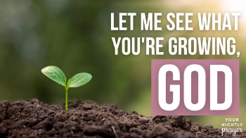 Have you ever had times when you found yourself giving, doing, spending time, effort, sweat, going out of your way to help, and investing all to give to others?

As tonight's prayer and devotional remind us, those times can be exciting but draining of strength, resources, and time. We can feel like giving up, not seeing progress or goals achieved, feeling discouraged, down, and worn out, even wishing at times that we’d never started.

It’s during those times we can look to God, have faith, and trust Him that our intentions and efforts are being cultivated in unseen places, and will bring forth good results, even, if, for extended times we don’t see anything happening, maybe not for years, or decades, before reaping the results we had hoped for when we first began.

The Apostle Paul seemed to understand how planting and growing in others can take time, and it isn’t up to us to see it blossom and bloom. As he wrote in 1 Corinthians 3:7, “So neither the one who plants nor the one who waters is anything, but only God, who makes things grow.”

Especially when it comes to investing in people, it can seem painfully slow before we even start seeing anything happening, to see the things we’ve planted and watered begin to sprout and grow.

Waiting can feel like it’s going on forever through the long, hard days of seeing no progress or growth, wondering if our time and efforts spent on investing in others are coming up fruitless. It can be times of deep anguish and sorrowful weeping.

But God offers us the spiritual fruits of patience and long suffering in our lives, to help us endure during the quiet, inactive times. As Galatians 5:22 describes, “But the fruit of the Spirit is love, joy, peace, forbearance, kindness, goodness, faithfulness.”

He also promises joy that, no matter the situation, comes from knowing Him. As John 15:11 explains, “I have told you this so that my joy may be in you and that your joy may be complete.”

As Paul encourages in Romans 12:12, “Be joyful in hope, patient in affliction, faithful in prayer.”

TONIGHT’S SCRIPTURE

“Those who sow with tears will reap with songs of joy”- Psalm 126:5

YOUR NIGHTLY PRAYER

Dear Father,
Even though there have been many tears over the years with regard to the time, effort, and investment we have invested in others’ lives for your glory, help us to have faith in what you are accomplishing in their lives, and to be joyful about the opportunities we have to do so. Remind us, too, of those who have done the same in our lives. Thank you for the privilege of working together with you in the lives of others. O Lord, our hearts are also deeply grateful to those You sent to plant and water our own lives.
In Jesus ’name,
Amen.

THREE THINGS TO MEDITATE UPON

1. Think back on your life and how others planted and watered you in various ways. Look at yourself then and now and consider if those things have taken root and begun to sprout yet in your life.

2. Ask God to remind you of those whose lives you have watered and planted. Consider checking in with them to see how they are progressing in the walk with the Lord.

3. Thank God for all the friends, families, pastors, teachers, and others who have taken the time and effort to water and plant God’s endeavors in your life, giving thanks for each one by name.